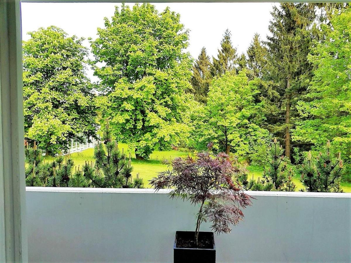 Grossdorf Ferienwohnung Waldsuite Im Harz Goslar Luaran gambar