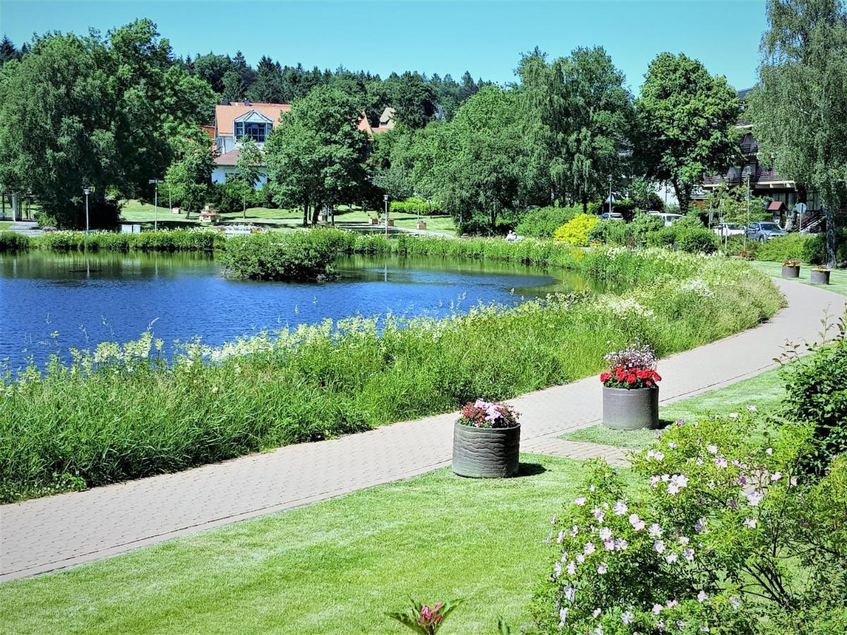 Grossdorf Ferienwohnung Waldsuite Im Harz Goslar Luaran gambar