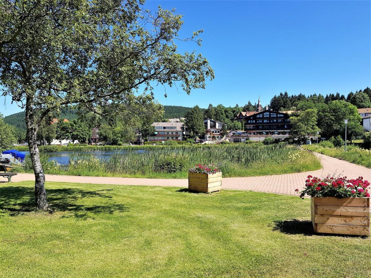 Grossdorf Ferienwohnung Waldsuite Im Harz Goslar Luaran gambar